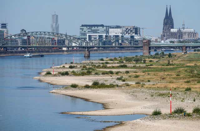 <p>The river Rhine is pictured with low water in Cologne, Germany. </p>