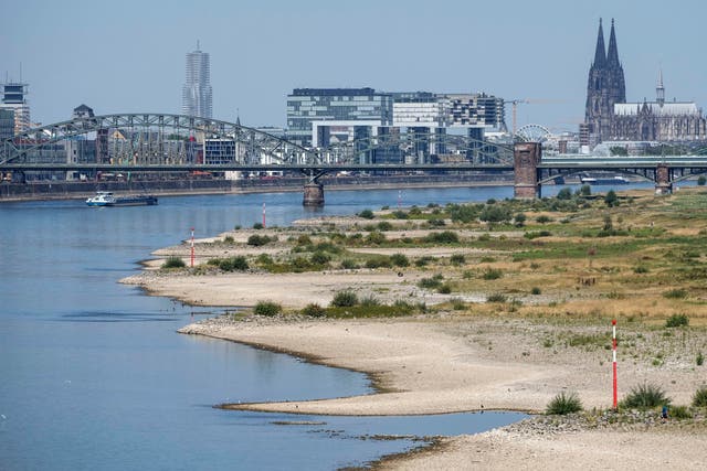 <p>The river Rhine is pictured with low water in Cologne, Germany. </p>