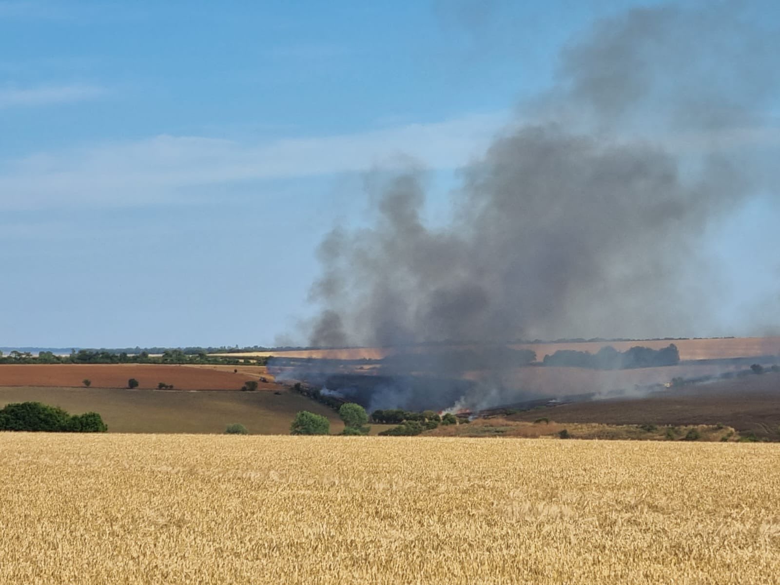 Dorset and Wiltshire Fire and Rescue Service attended a field fire in Winterbourne Stoke earlier this week