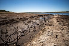 Water companies urged to protect supplies as ‘likely very dry autumn’ looms