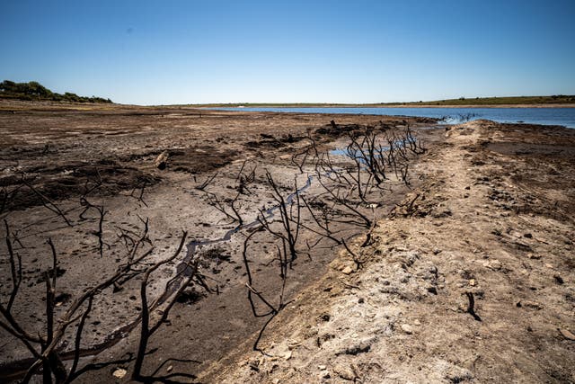 Dried mud and old trees at Colliford Lake, where water levels have severely dropped, exposing the unseen trees and rocks at Cornwall’s largest lake and reservoir, covering more than 900 acres of Bodmin Moor (Ben Birchall/PA)