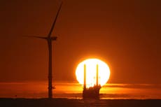 Energy boss adds to calls for Sunak, Truss and Johnson to come together on bills