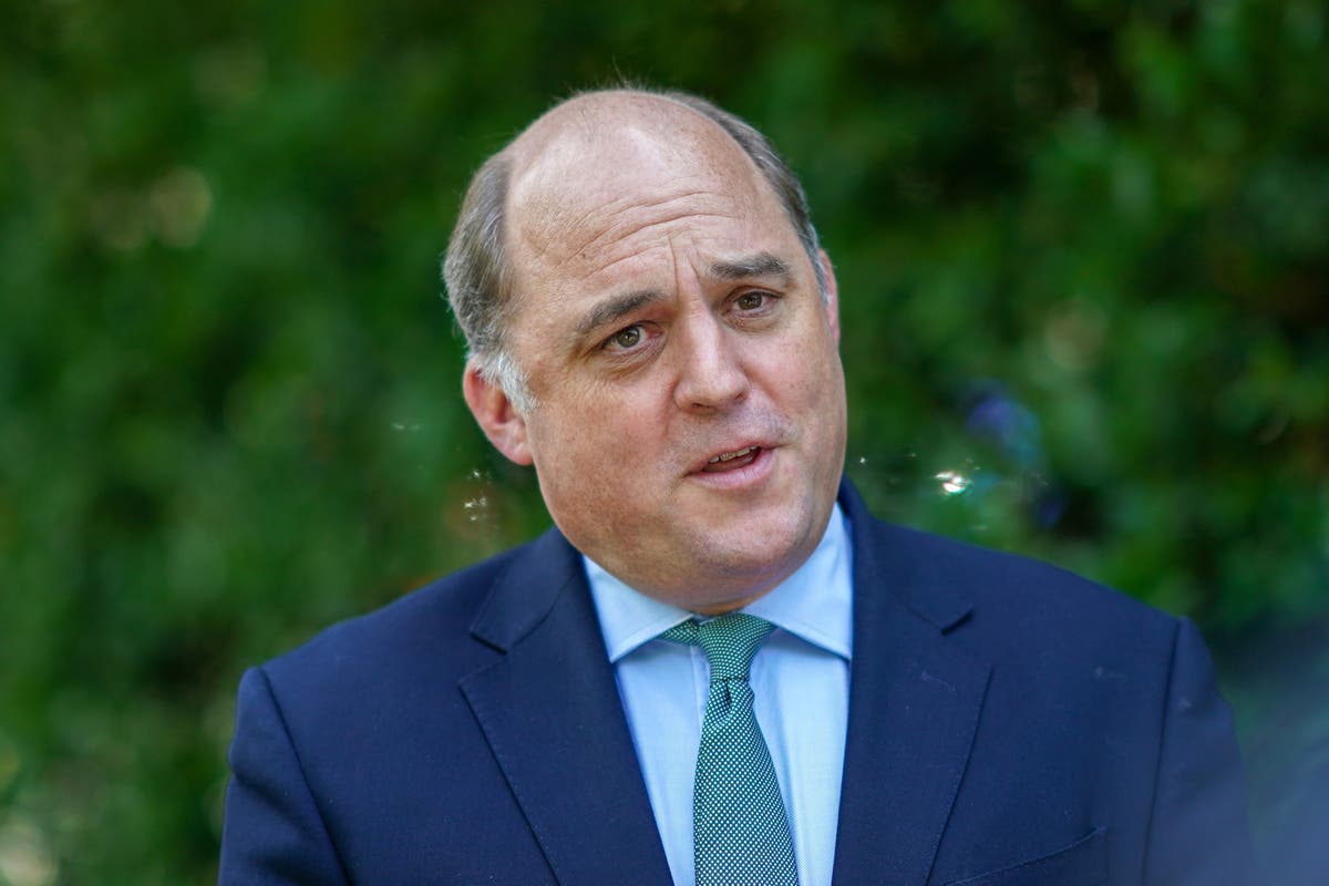 Wallace dismisses Russian &lsquo;excuses&rsquo; for Crimean air base explosions