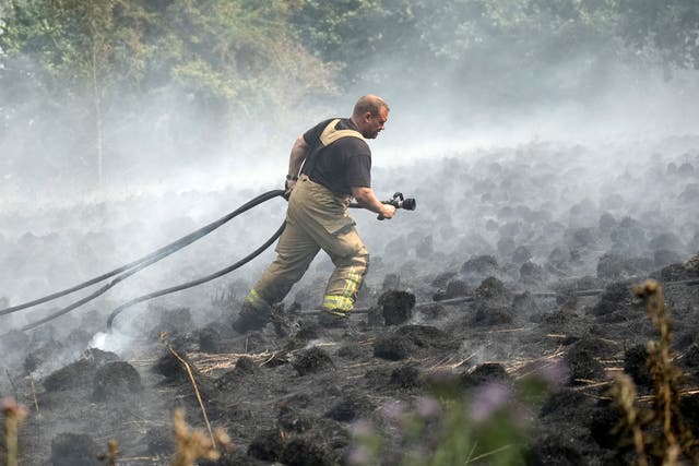 <p>Firefighters contain a wildfire near homes in Sheffield on 20 July</p>