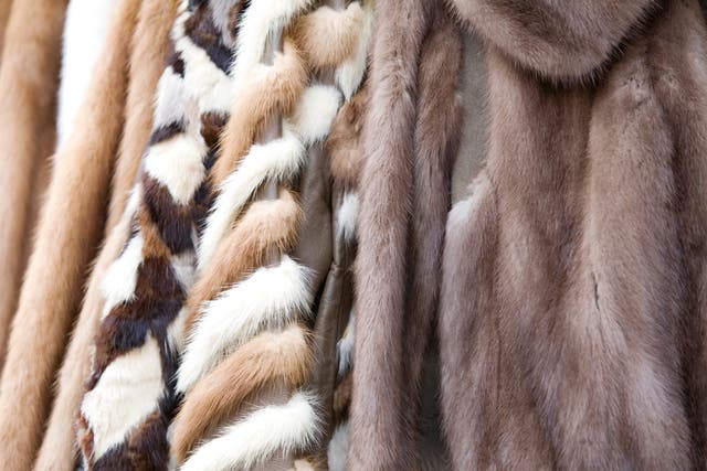 <p>Copenhagen is the latest European fashion week to ban fur </p>