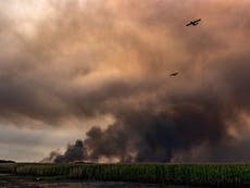 Firefighters battle to contain ‘monster’ wildfire in southwest France 