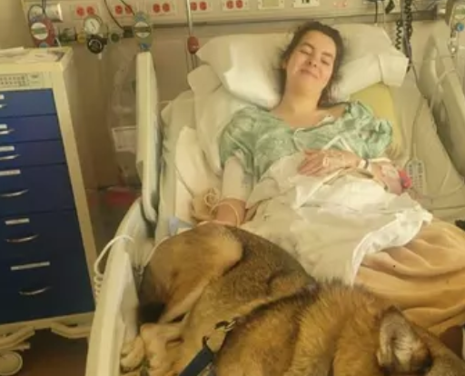 Amelia Dean has been in hospital in South Dakota for seven weeks following the bison attack