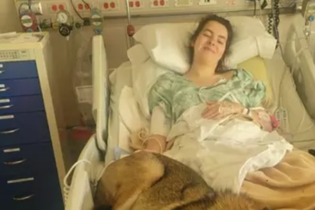 <p>Amelia Dean has been in hospital in South Dakota for seven weeks following the bison attack </p>