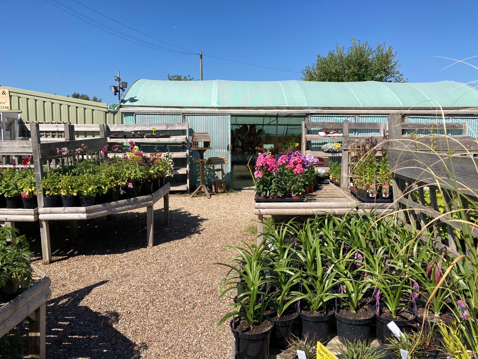 Pete Cook, manager of Chalcroft Nurseries near Bognor Regis is not surprised the town is one of the driest in England (PA)