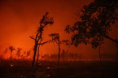 Firefighters battle to contain ‘monster’ wildfire in southwest France 