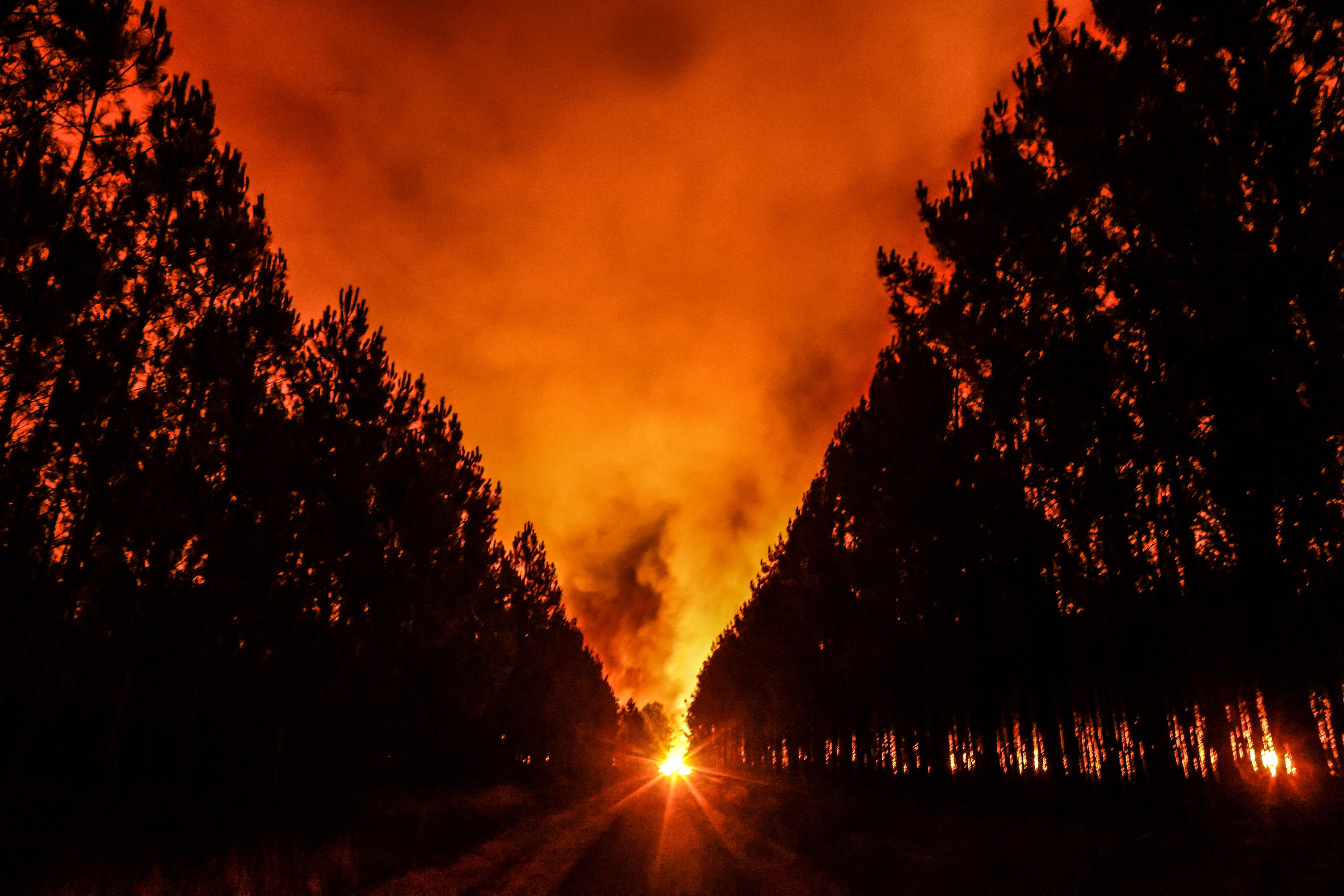 The rising sun illuminates the smoke of a forest fire near Belin-Beliet