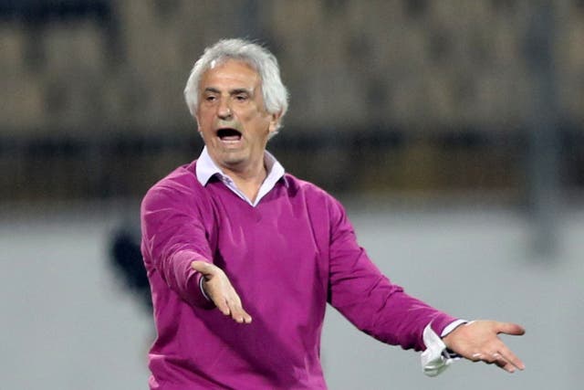 <p>Halilhodzic has been under pressure for some time </p>