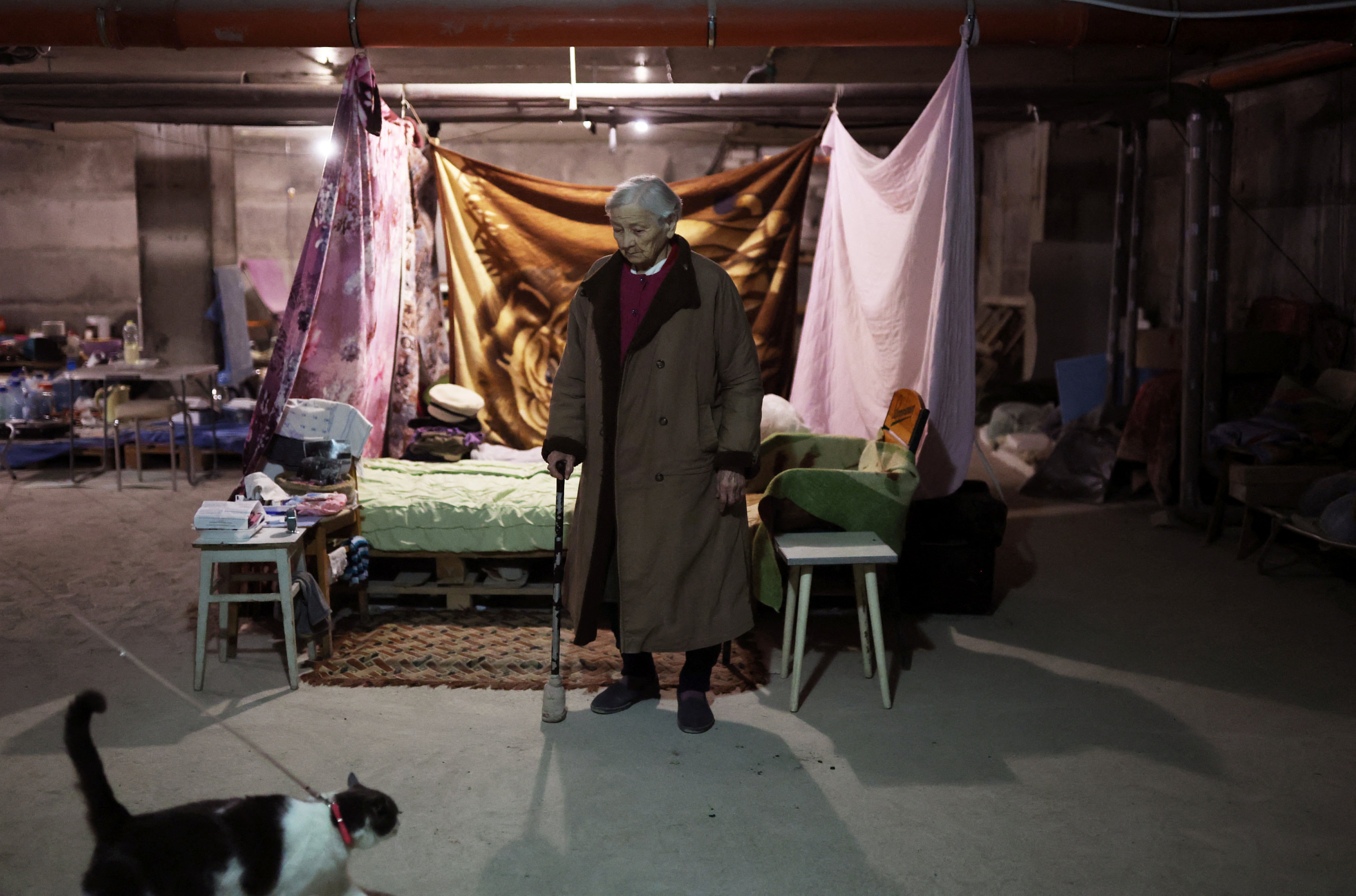 Former engineer Maria Nikolaevna, 92, looks at her family cat, Kisiau, next to her makeshift bedroom inside a basement