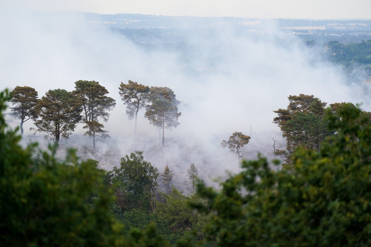 Tories &lsquo;have put the smoke alarm on snooze&rsquo; as Britain faces wildfire risk