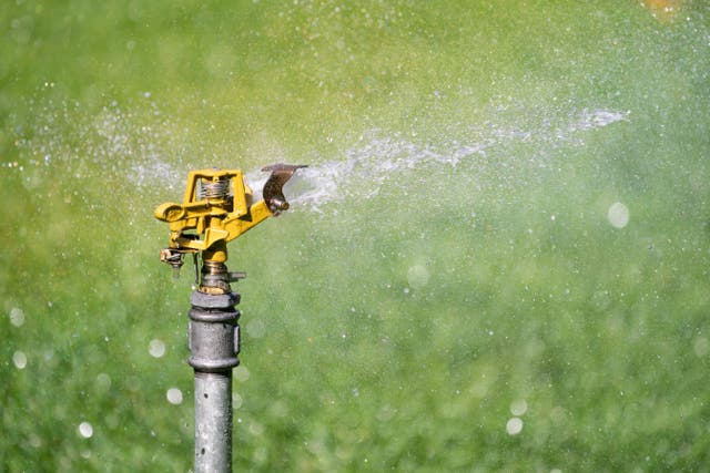 <p>Experts detail how to keep your garden healthy in the summer heat</p>