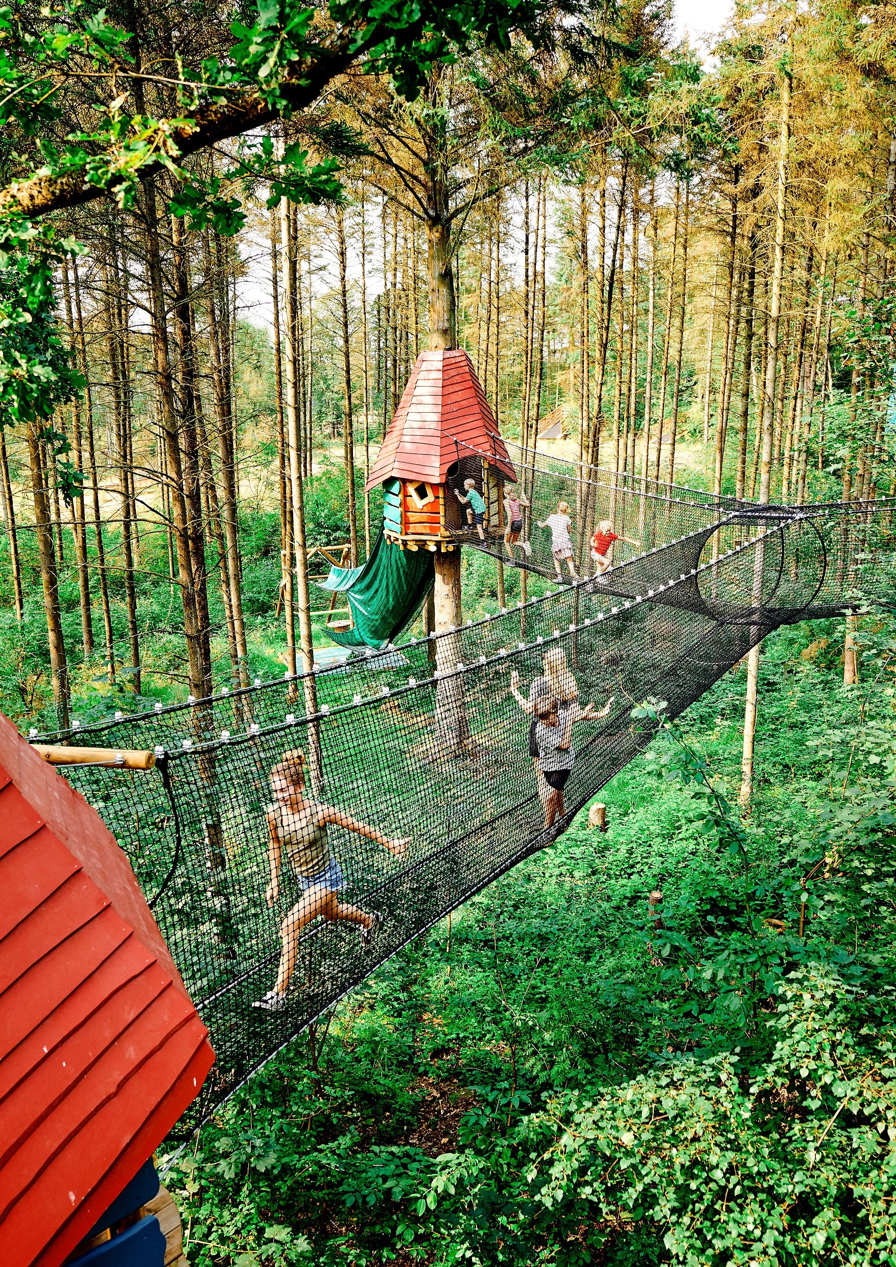 Live the high life in this treetop amusement park