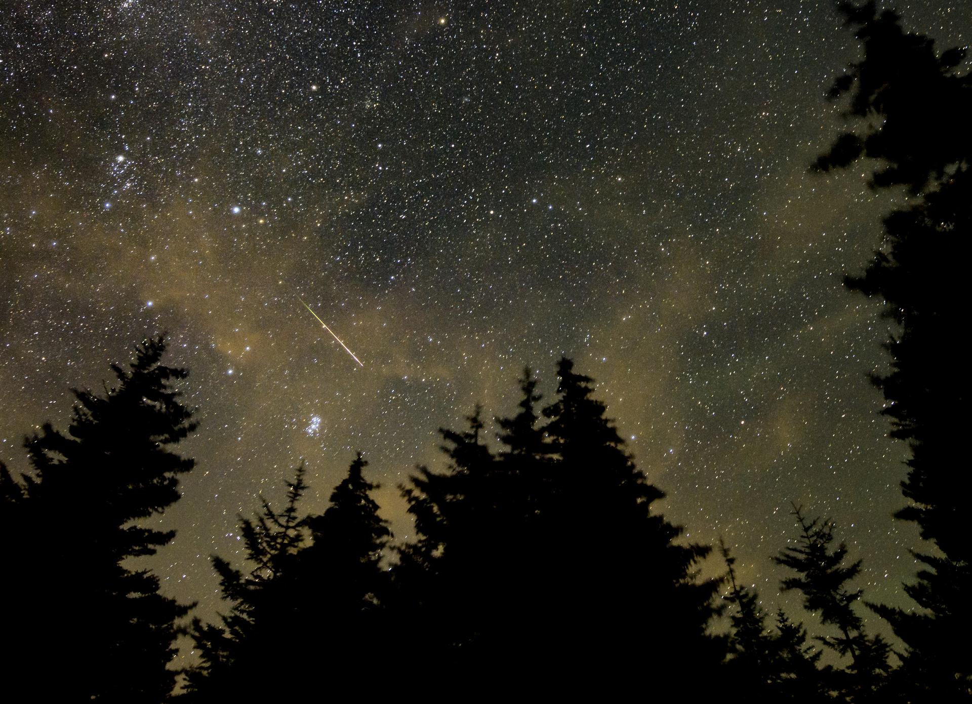 A Perseid meteor is seen in the sky above West Virginia on 11 August, 2021