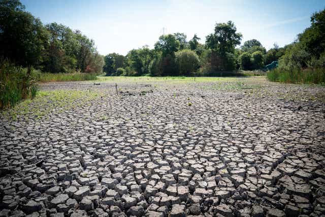 <p>A dried up lake in Wanstead Park, northeast London on Monday </p>