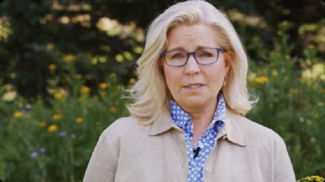 <p>Liz Cheney speaks in a campaign ad</p>
