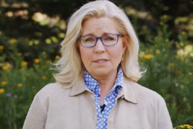 <p>Liz Cheney speaks in a campaign ad</p>
