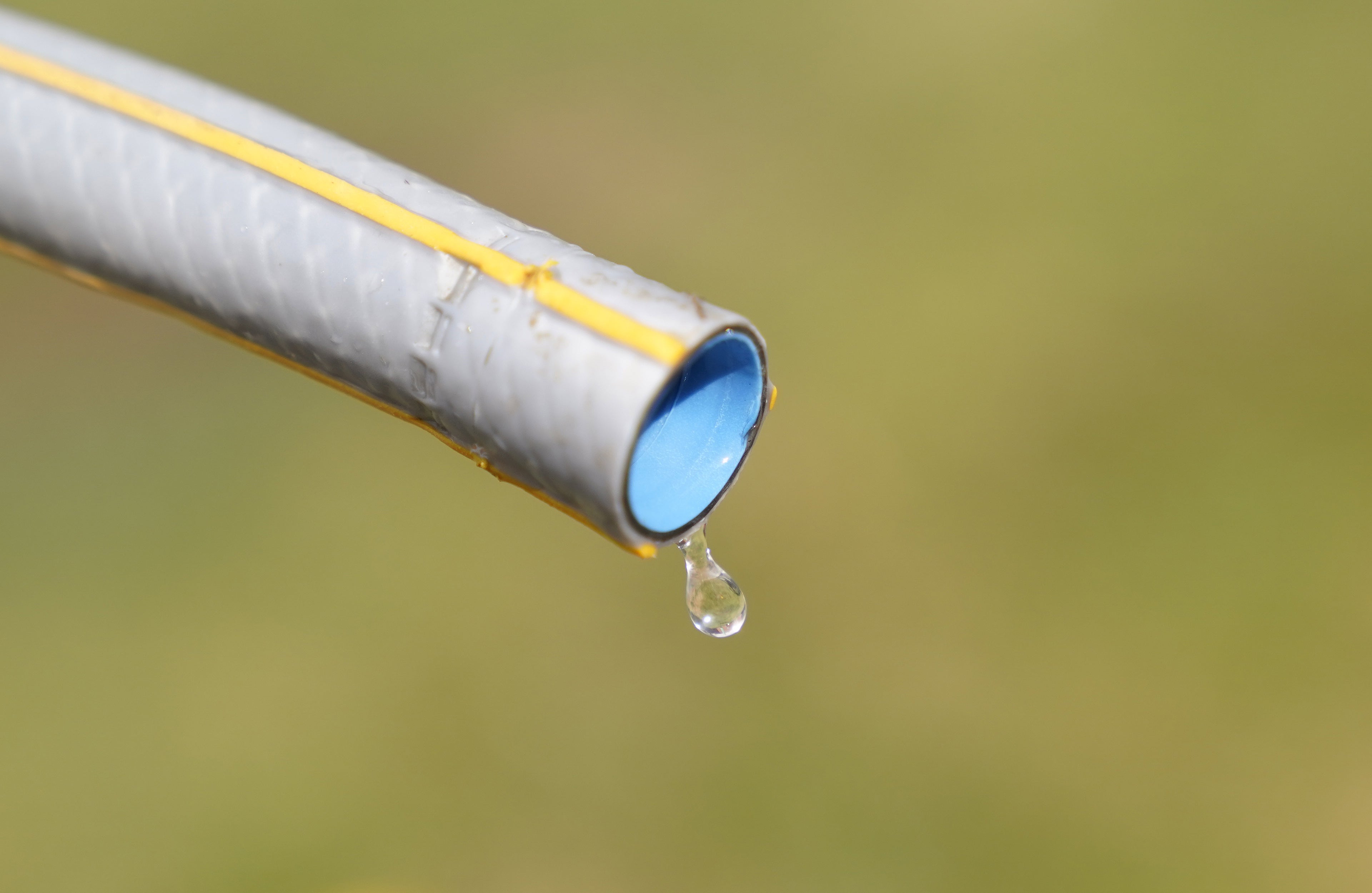 Water companies introduce hosepipe bans to conserve water