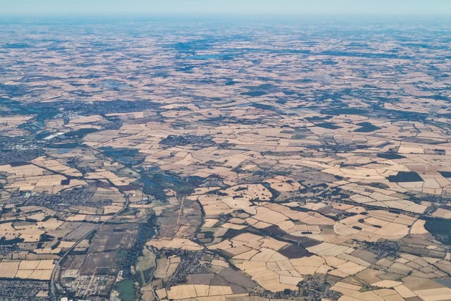 <p>An aerial view of part of the UK shows brown fields caused by the heatwave</p>