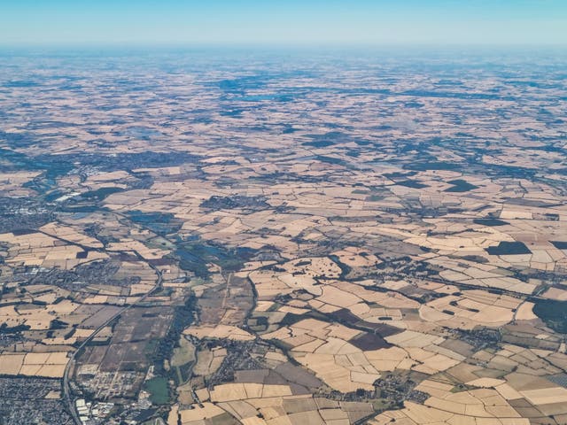 <p>An aerial view of part of the UK shows brown fields caused by the heatwave</p>