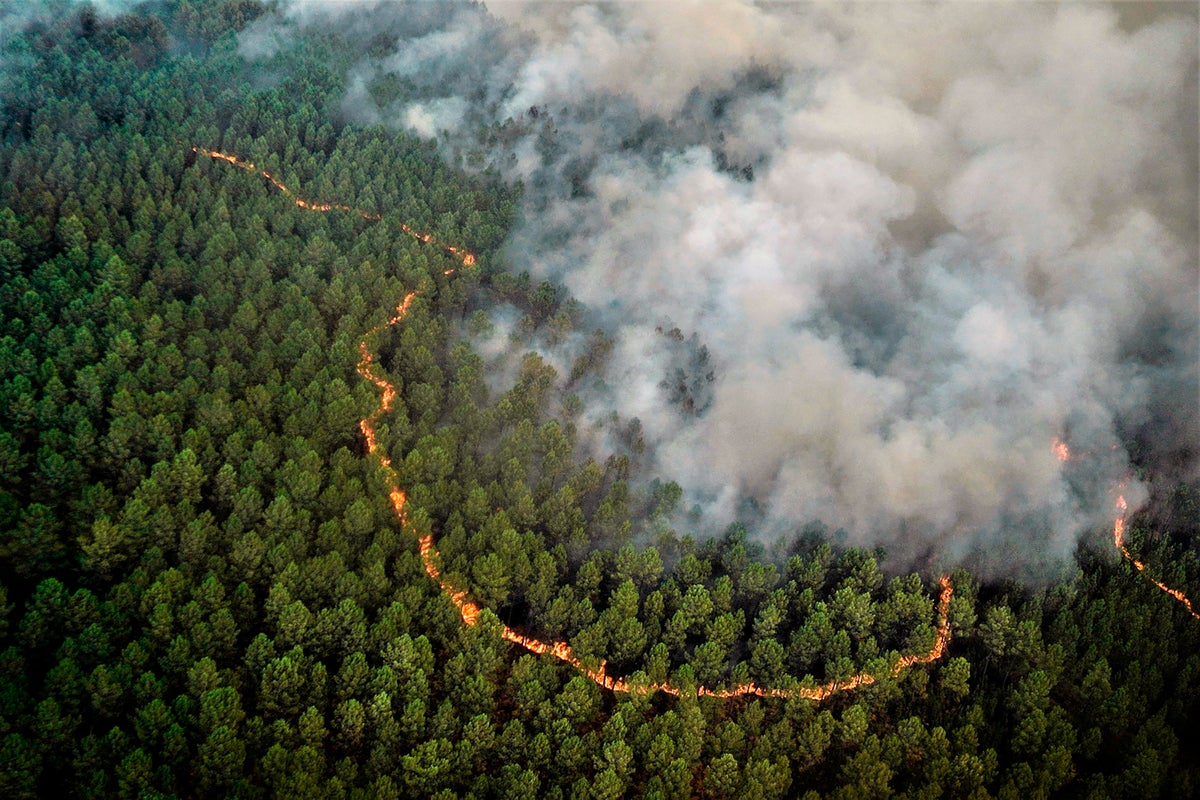 French wildfire stops expanding; workers seek to tame it