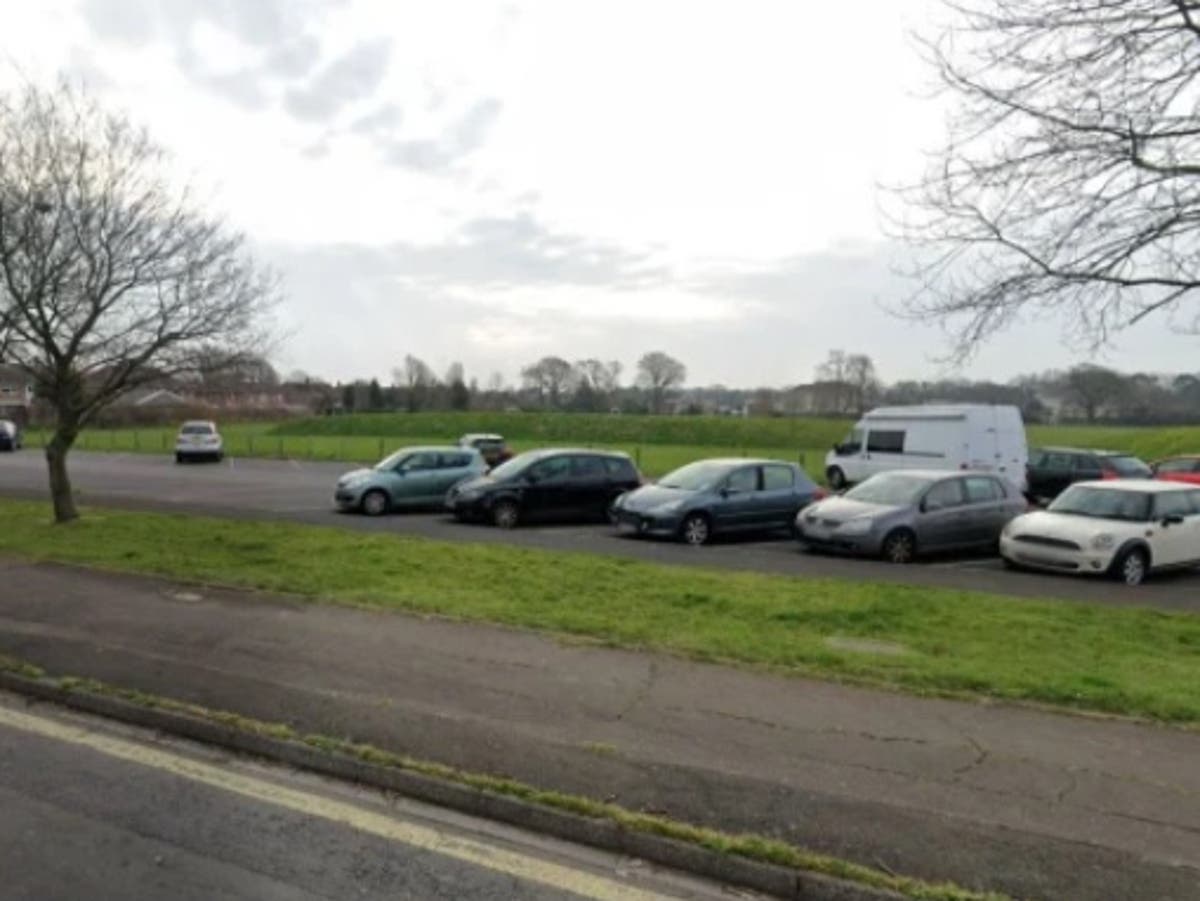 Man, 34, killed in dog attack as victim mauled in park