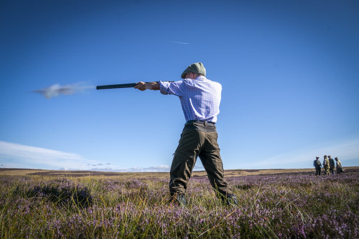 Scottish rural economy ‘back in business’ as grouse shooting season begins