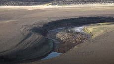 Drought officially declared across parts of UK amid continued dry spell