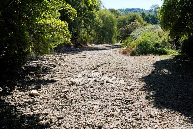 <p>Rivers such as the Mole in Surrey are drying out, leaving wildlife struggling to survive </p>