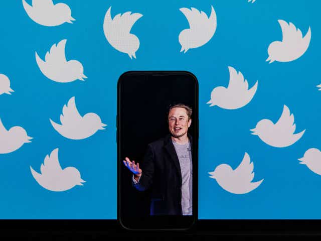 <p>Elon Musk is not only the world’s richest person but one of its most prolific tweeters</p>