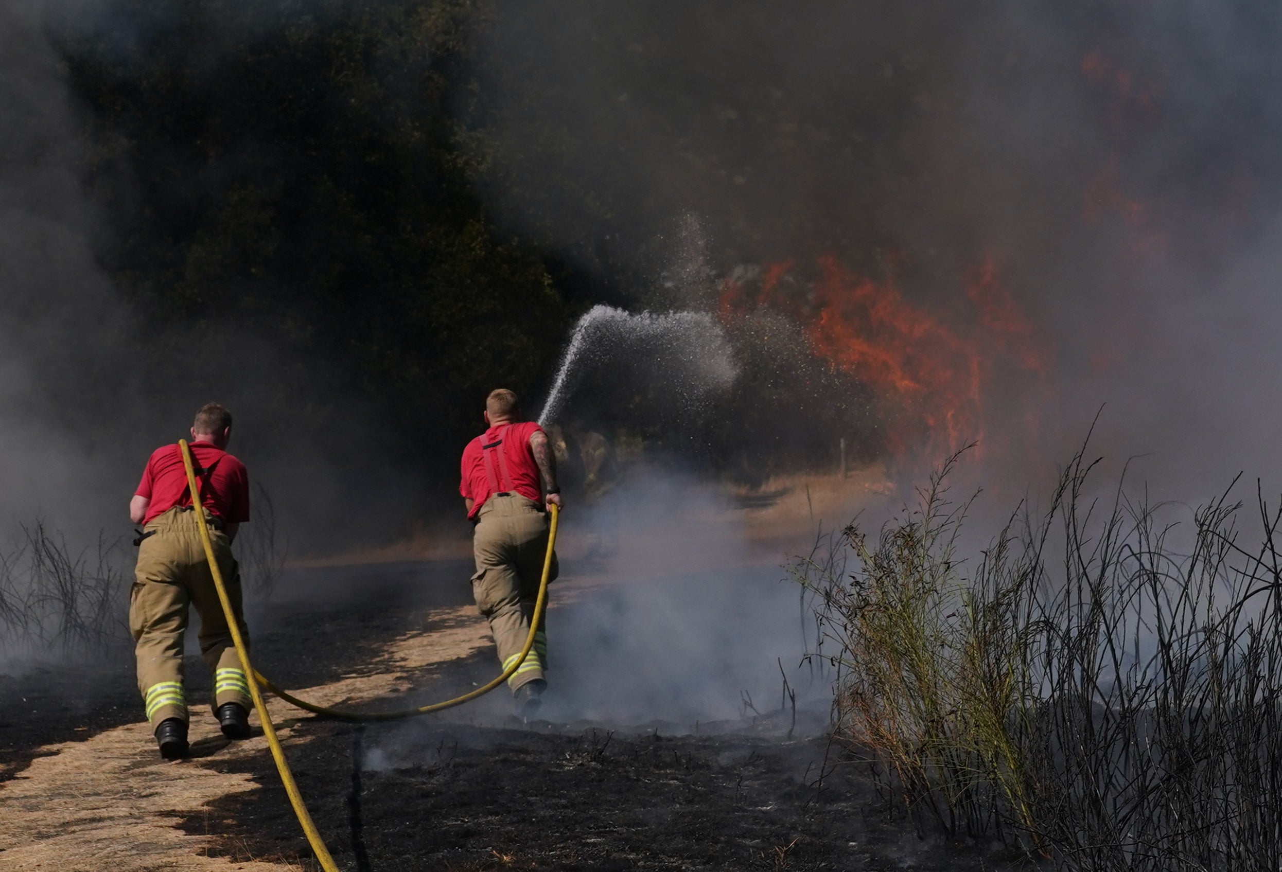 Extreme heat in summer 2022 let to several woodland fires