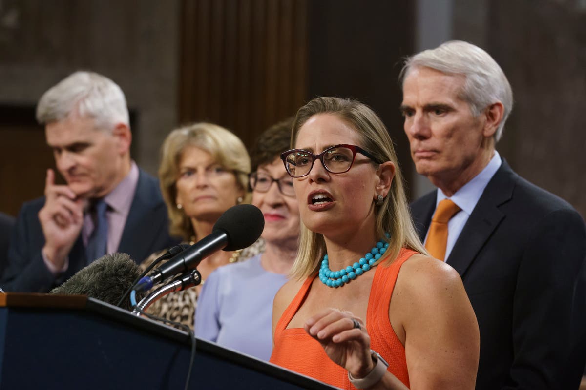 Sinema took Wall Street money while killing tax on investors | The Independent