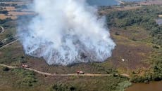 Dorset wildfire continues to tear through Studland as disposable BBQ confirmed as source 