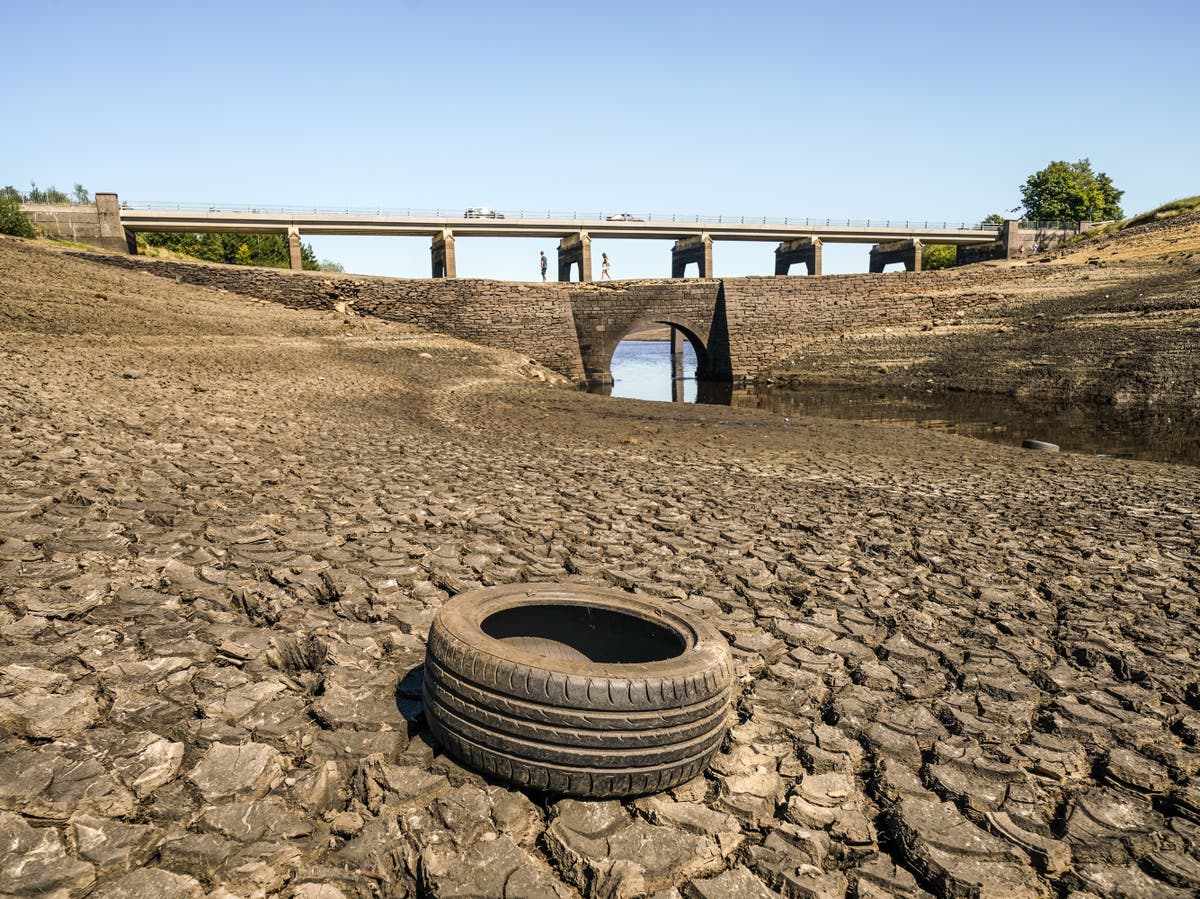 Government must &lsquo;overrule nimbys&rsquo; on new reservoirs to combat drought, says infrastructure tsar