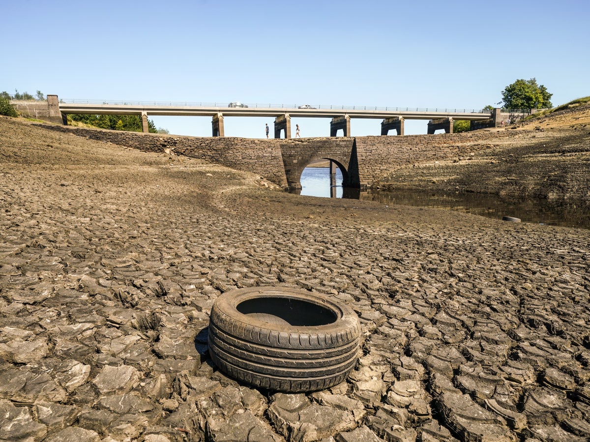 Government must 'cancel nimbys' on new reservoirs to tackle drought, says infrastructure czar
