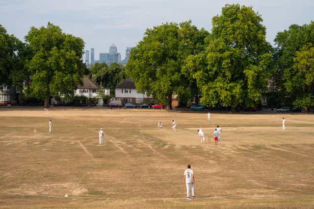 Millfields Cricket Club play at Hilly Fields park, in south-east London (Dominic Lipinski/PA)