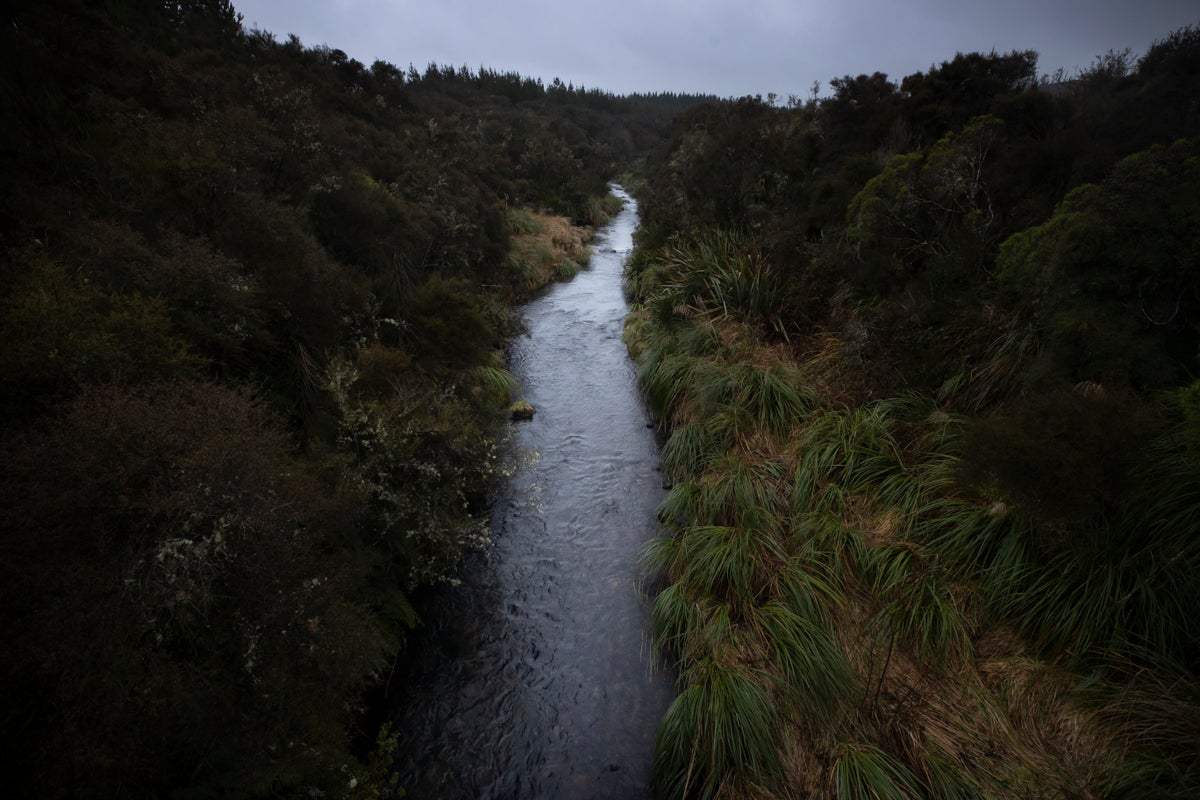 Whanganui River ‘always makes things better for me’