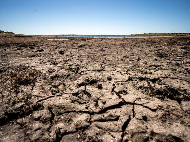 Cornwall is one of the areas where a drought has been declared in England