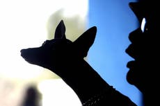 Dog catches monkeypox from owners after sleeping in their bed