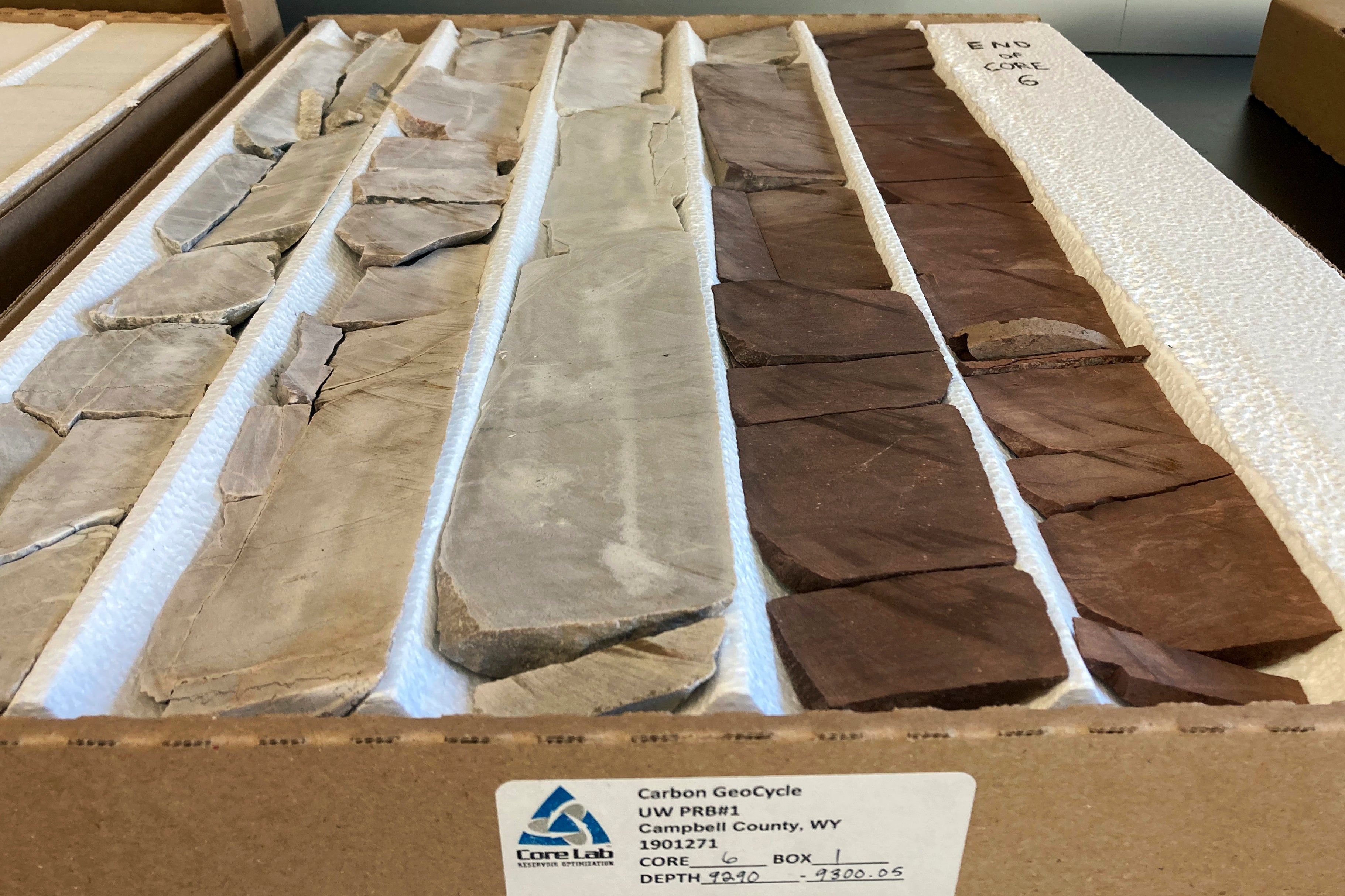 Carbon Storage New Prospects