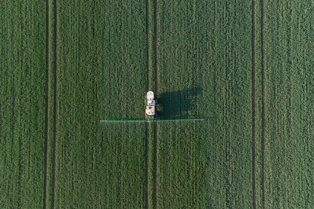 A field of crops is sprayed near Tixover in Rutland (Joe Giddens/PA)
