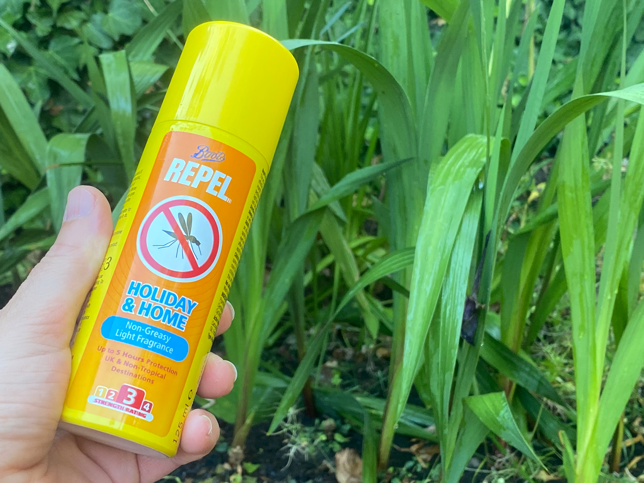 Boots repel holiday and home aerosol