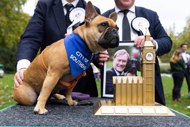 <p>Sir David Amess’ French Bulldog, Vivienne, was announced as the winner of the Westminster Dog of the Year competition in 2021</p>