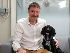 Surge in cash-strapped Britons abandoning pets due to the cost of living crisis