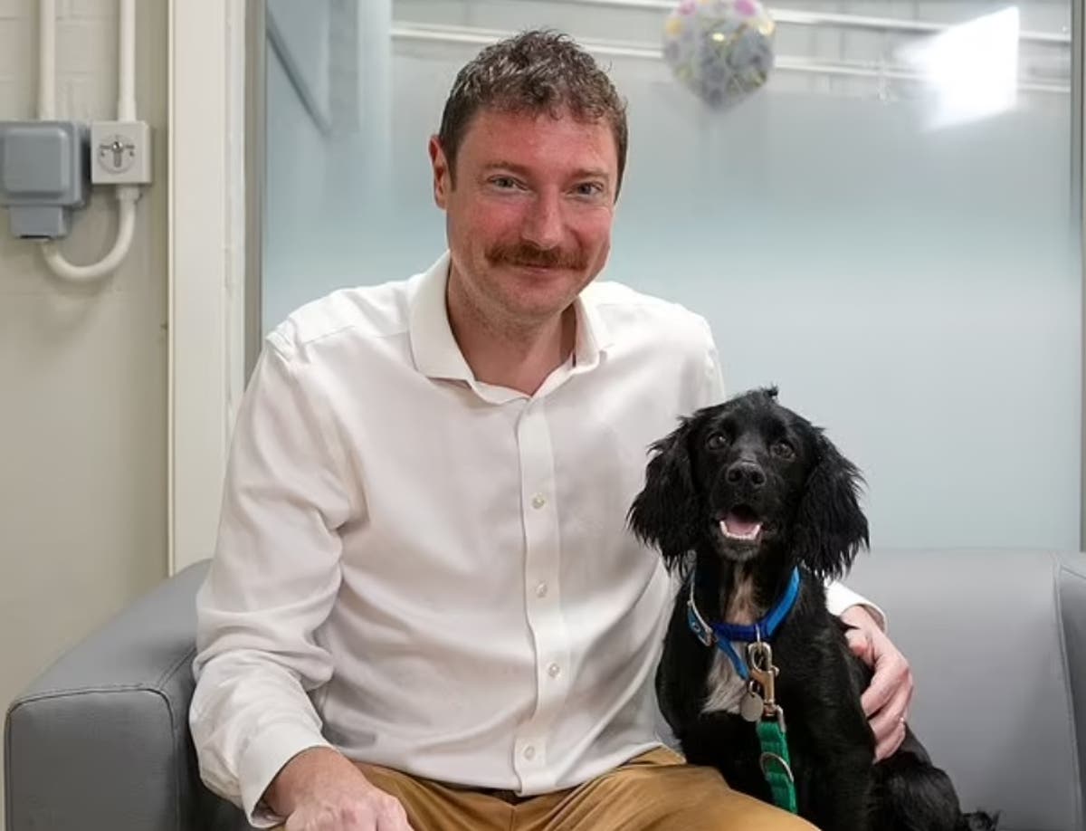 Surge in cash-strapped Britons abandoning pets due to the cost of living crisis Surge in cash-strapped Britons abandoning pets due to the cost of living crisis