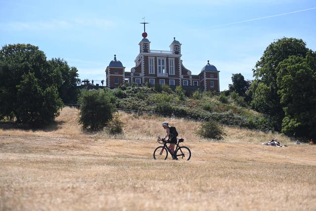 <p>A view of parched Greenwich Park on 6 August </p>