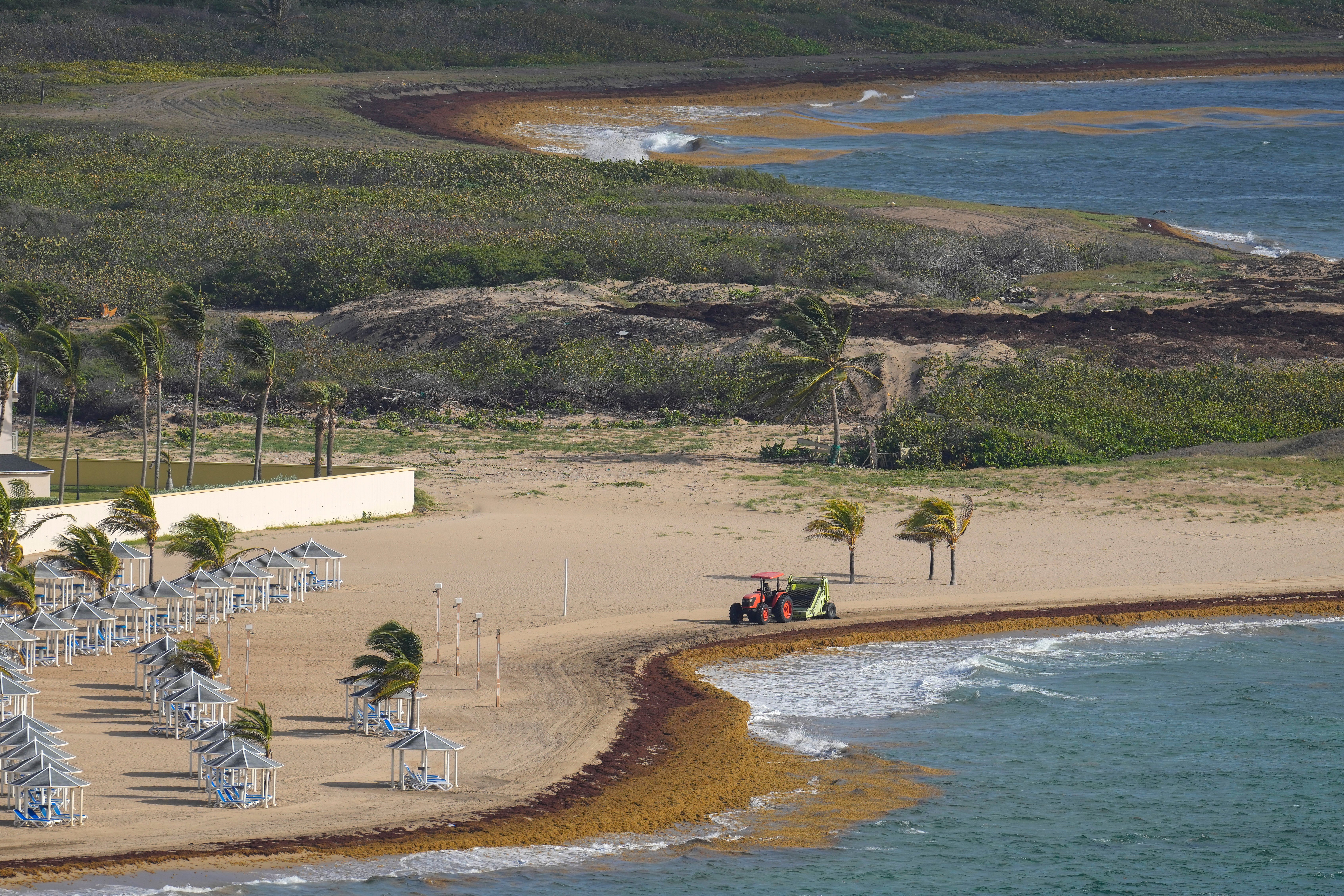 A tractor sweeps a beach lined with seaweed along the Atlantic shore in Frigate Bay, St. Kitts and Nevis